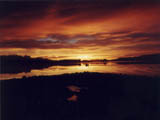 Picture of Dunedin harbour at sunrise and link to large picture 38Kb